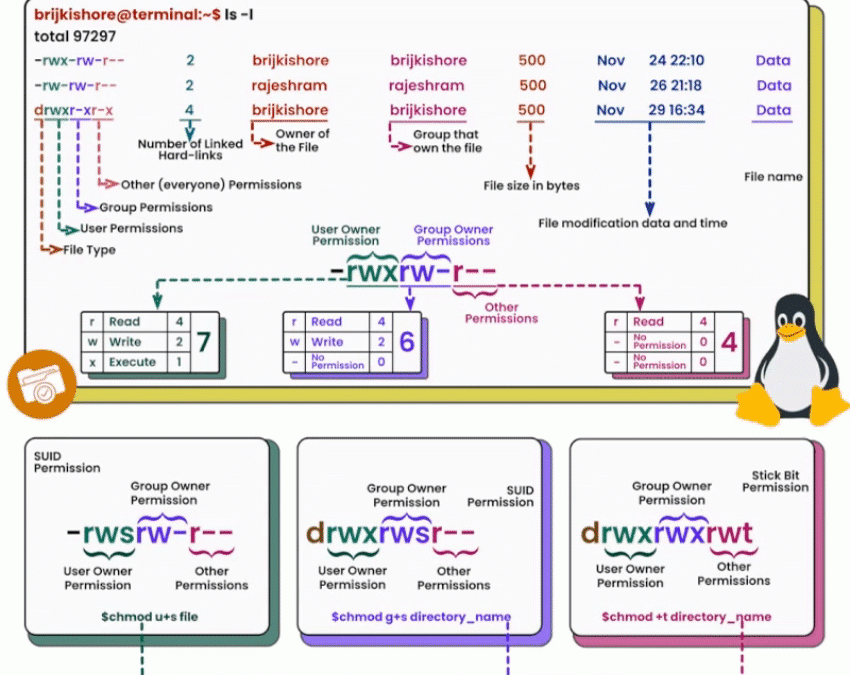 Mastering Linux File Permissions: A Comprehensive Cheatsheet | Quickshare